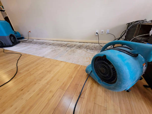 Reliable Basement Flood Cleanup contractor in Horse Shoe, NC by Hirex Water Damage