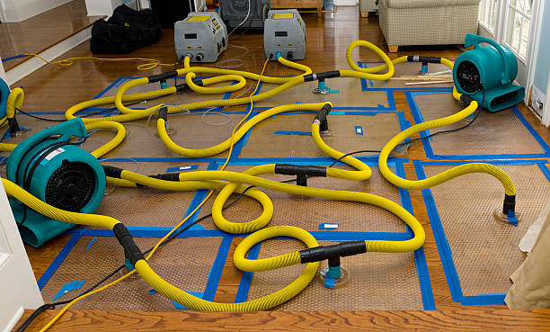 Professional Basement Flood Cleanup technician working in Horse Shoe, NC